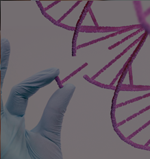 Vital Systems Assessment Testing (VSAT)